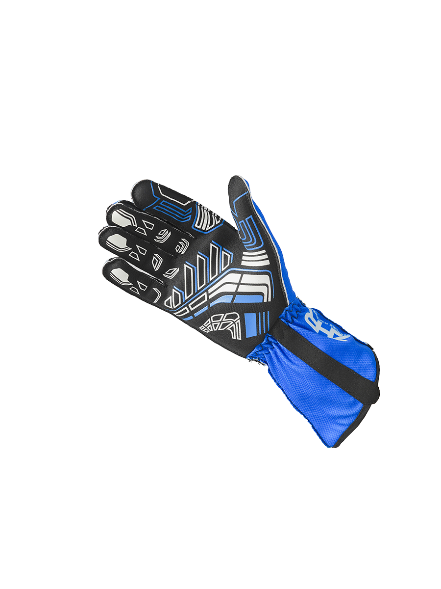 ZHR Blue Gloves