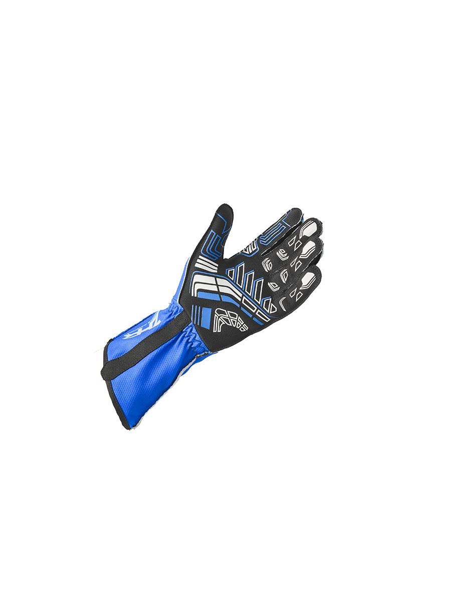 ZHR Blue Gloves